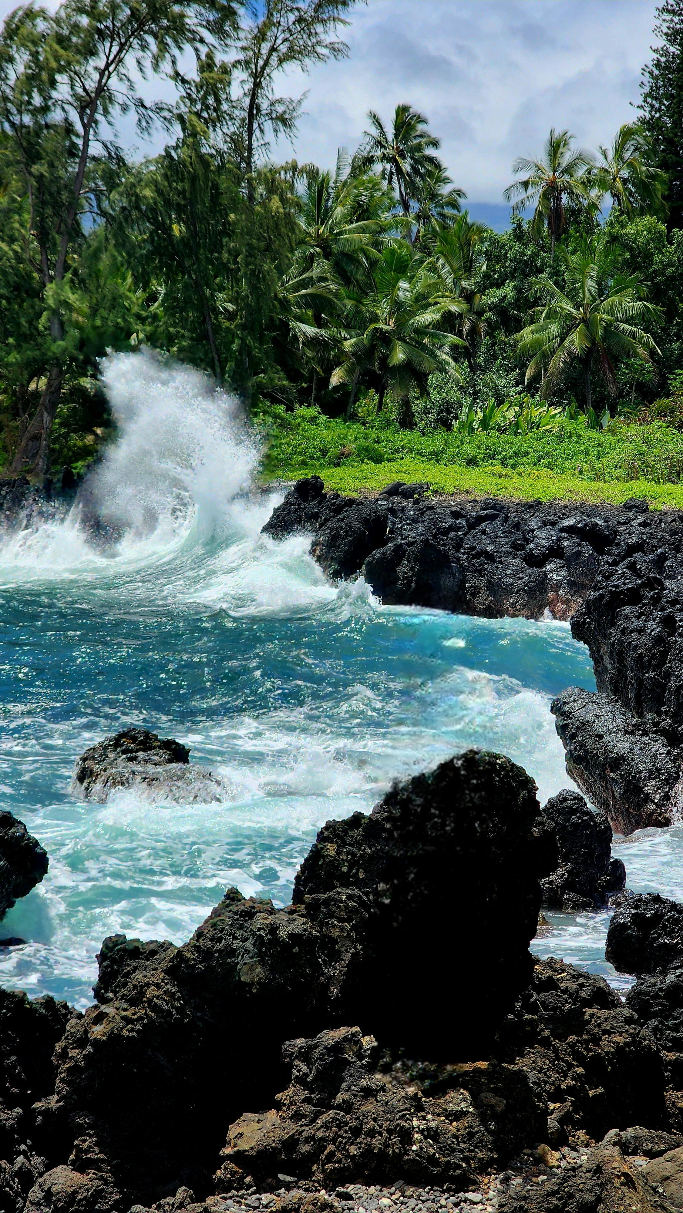 Hawaii tourism network of visitor-intent websites operated by Eye To Ad Media